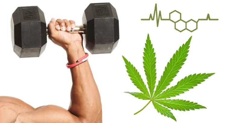 Le CBD, Nouvelle Arme Secrète des Sportifs ?
